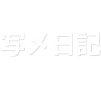 写メ日記