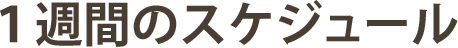 1週間のスケジュール